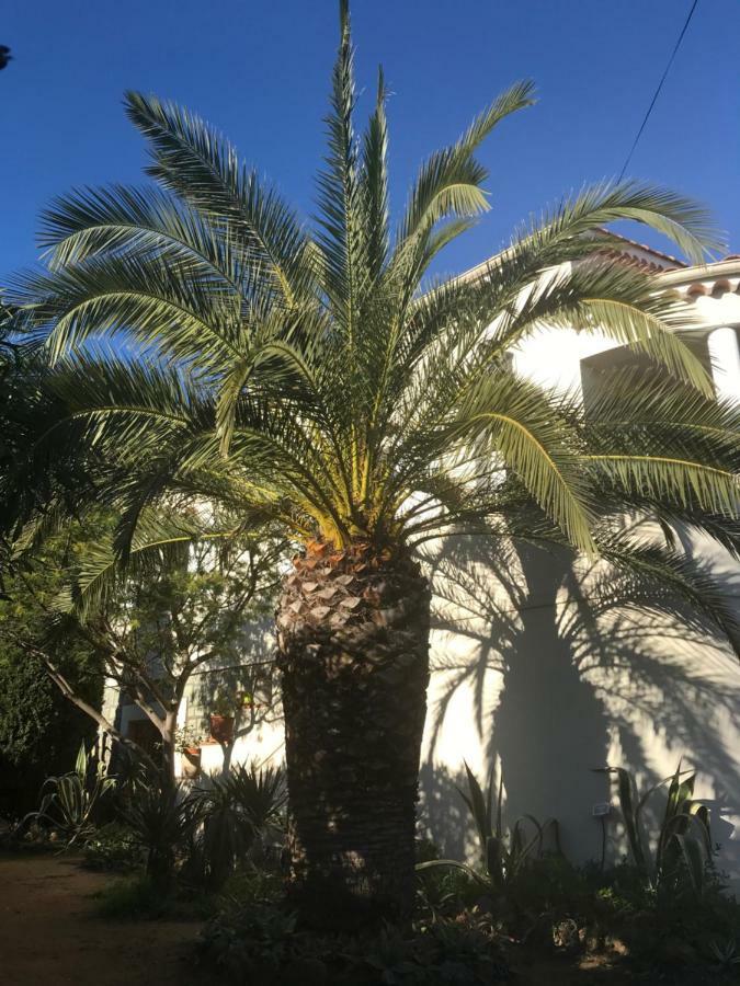 Rez de Villa du Pébrier Fréjus Extérieur photo