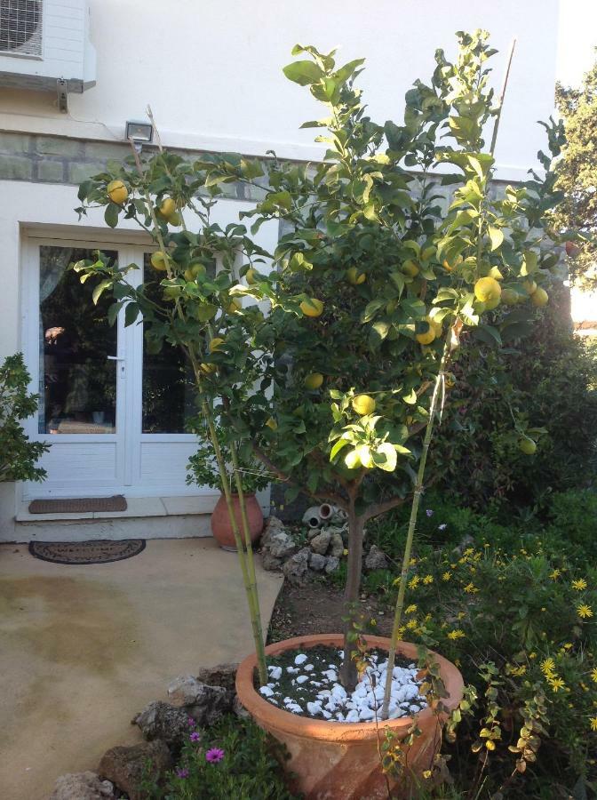 Rez de Villa du Pébrier Fréjus Extérieur photo